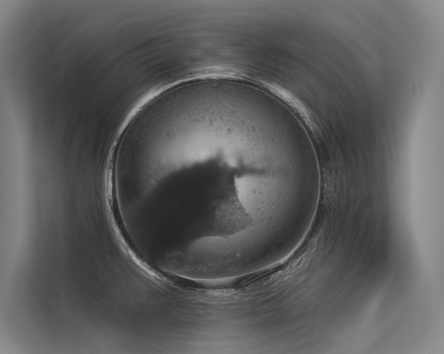 X0000113551383200909181150