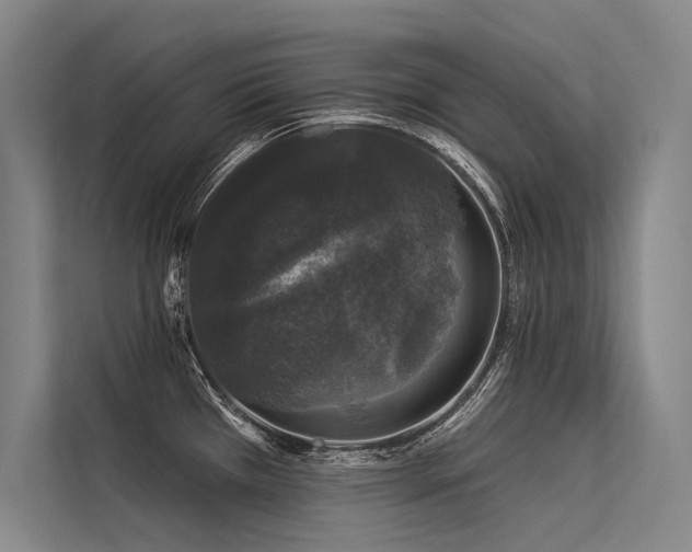 X0000113551385200909181150