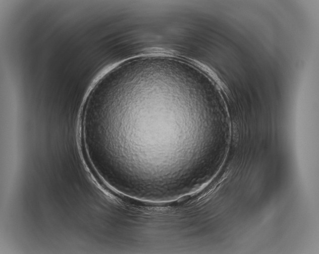 X0000113551387200909181150