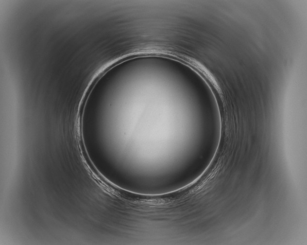 X0000113551388200909181150