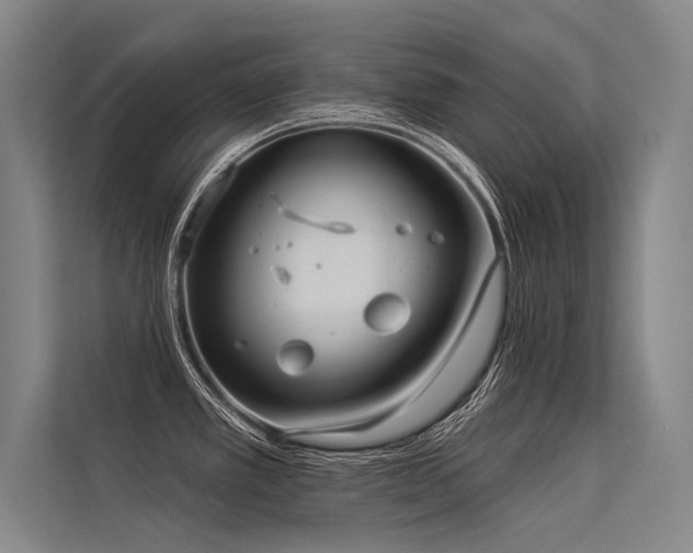 X0000113551389200909181150