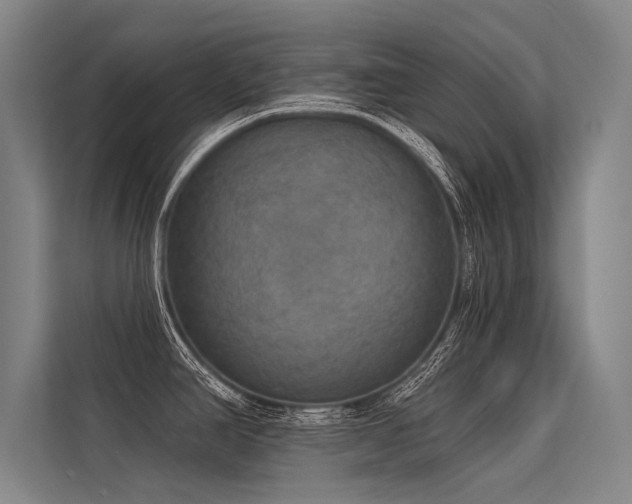 X0000113551390200909181150