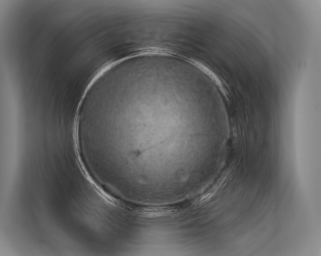 X0000113551391200909181150