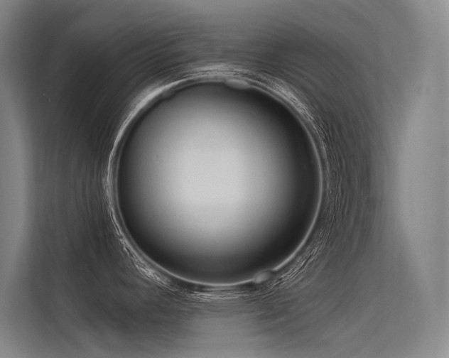 X0000113551392200909181150