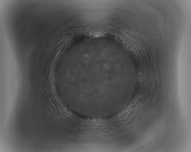 X0000113551393200909181149