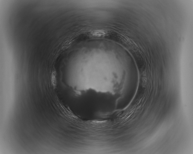 X0000113551394200909181149