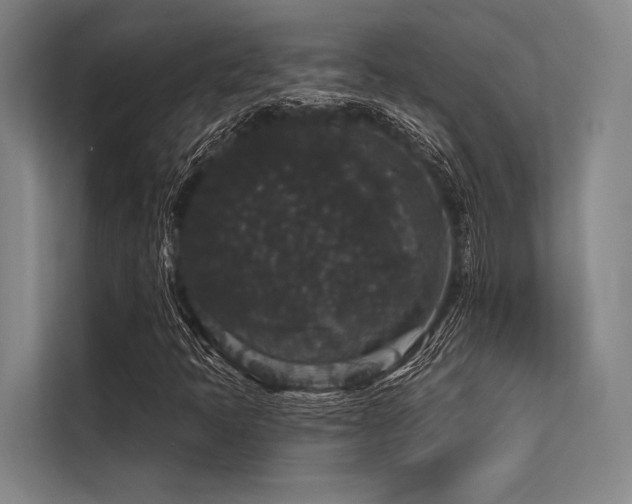 X0000113551397200909181149