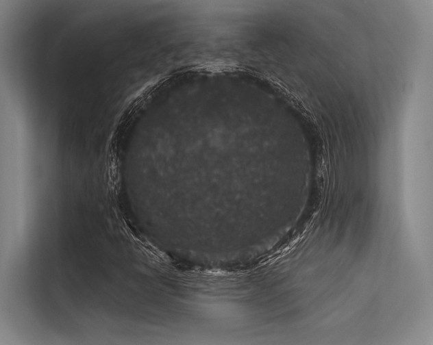 X0000113551398200909181149