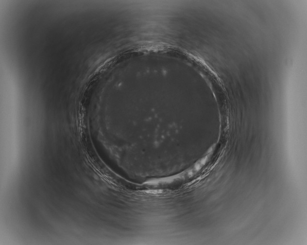 X0000113551399200909181150