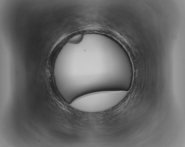 X0000113551400200909181150