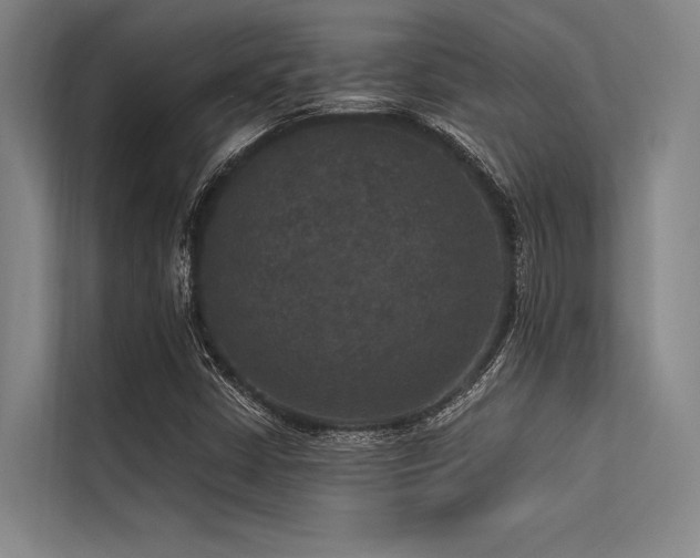 X0000113551402200909181150