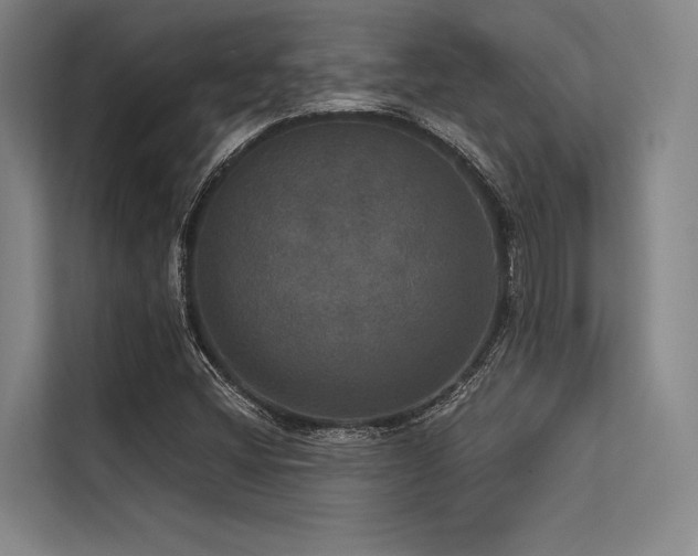 X0000113551404200909181150