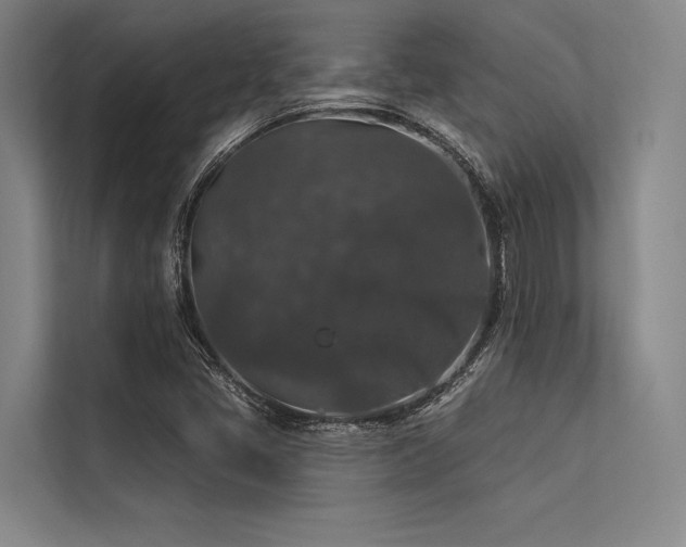 X0000113551405200909181150