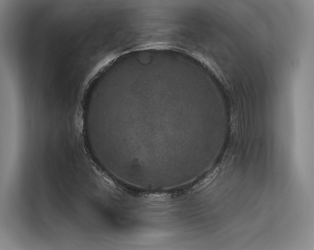X0000113551406200909181150