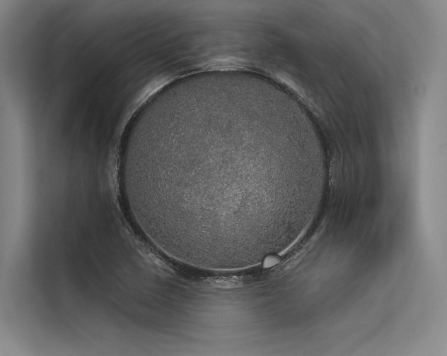 X0000113551410200909181150