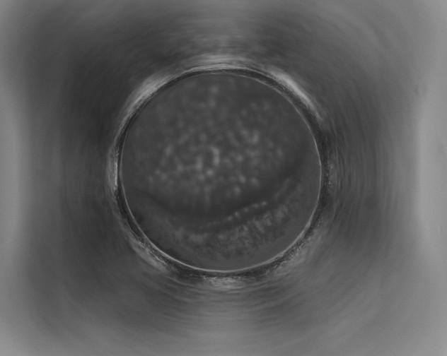 X0000113551413200909181150