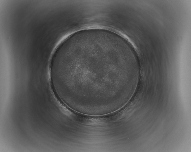 X0000113551416200909181150