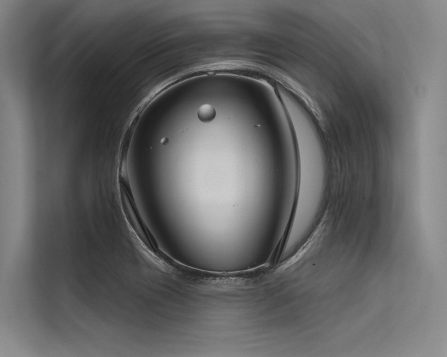 X0000113551417200909181150