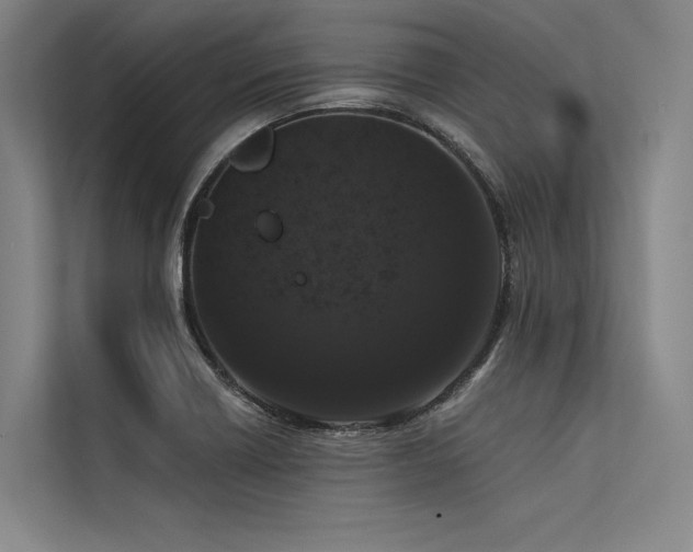 X0000113551418200909181150