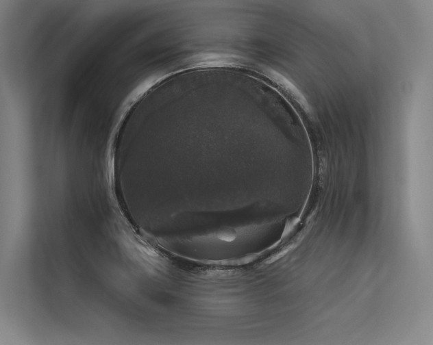 X0000113551419200909181150