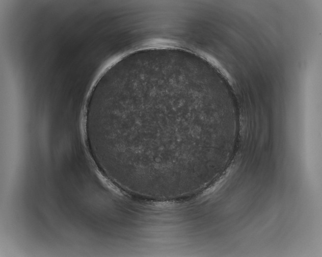 X0000113551421200909181150