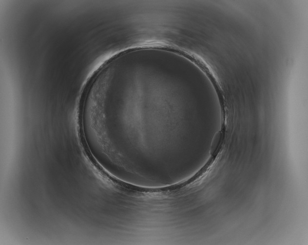 X0000113551422200909181150