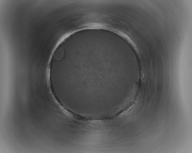 X0000113551424200909181150