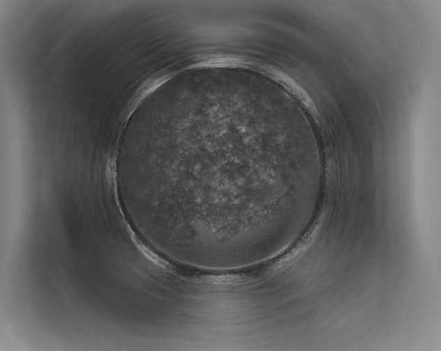X0000113551425200909181150