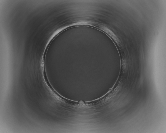 X0000113551428200909181150