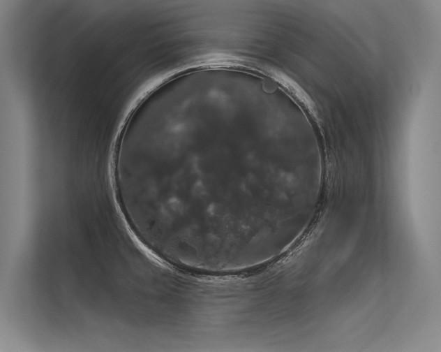 X0000113551429200909181150