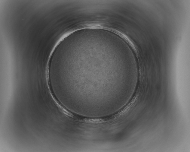 X0000113551432200909181150