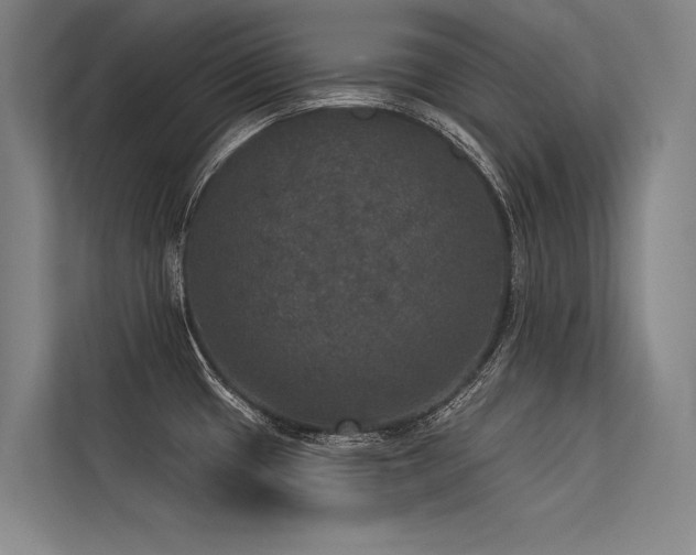 X0000113551433200909181150