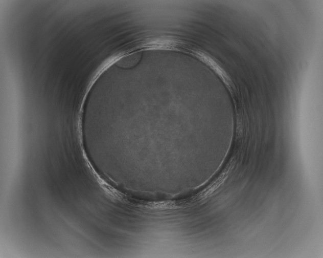 X0000113551434200909181150