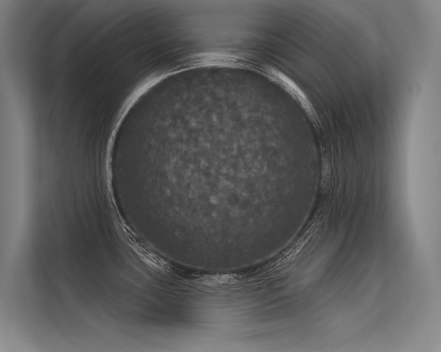 X0000113551435200909181150