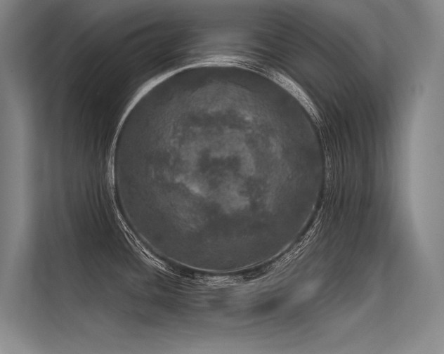 X0000113551436200909181150