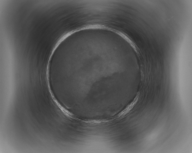 X0000113551438200909181150