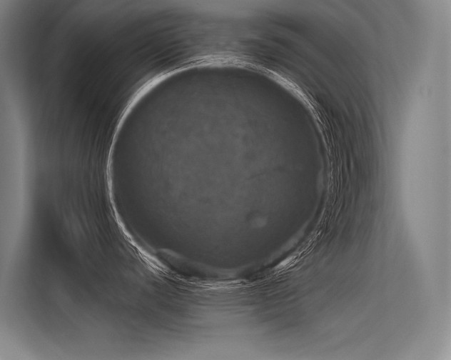 X0000113551440200909181150