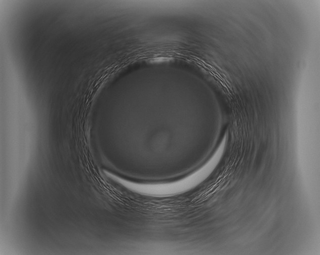 X0000113551441200909181149