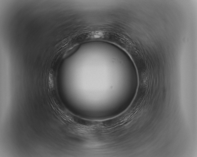 X0000113551442200909181149
