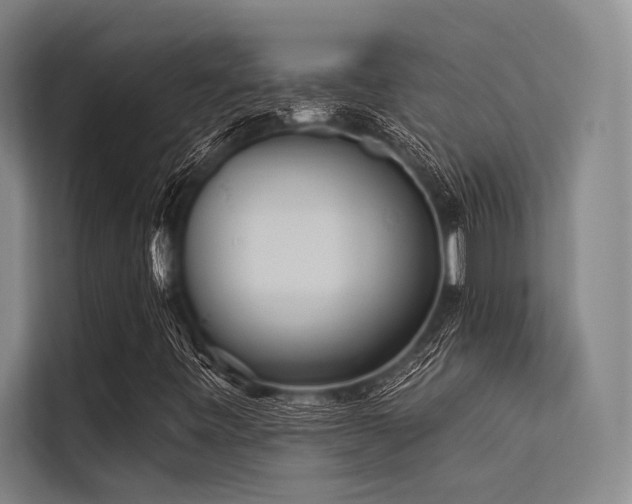 X0000113551443200909181149