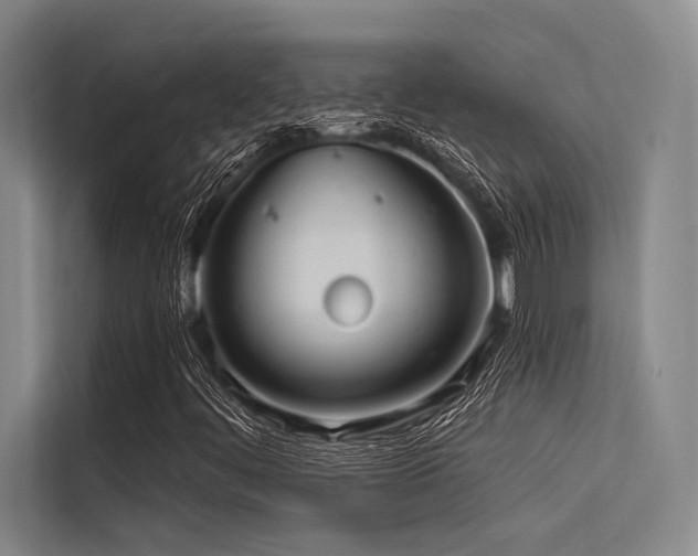 X0000113551444200909181149