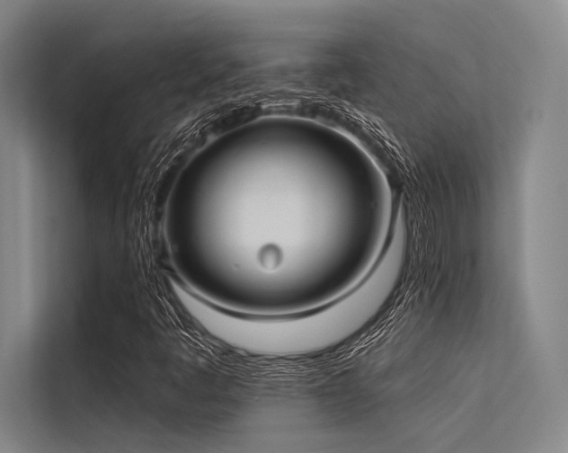 X0000113551445200909181149