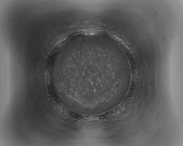 X0000113551446200909181149