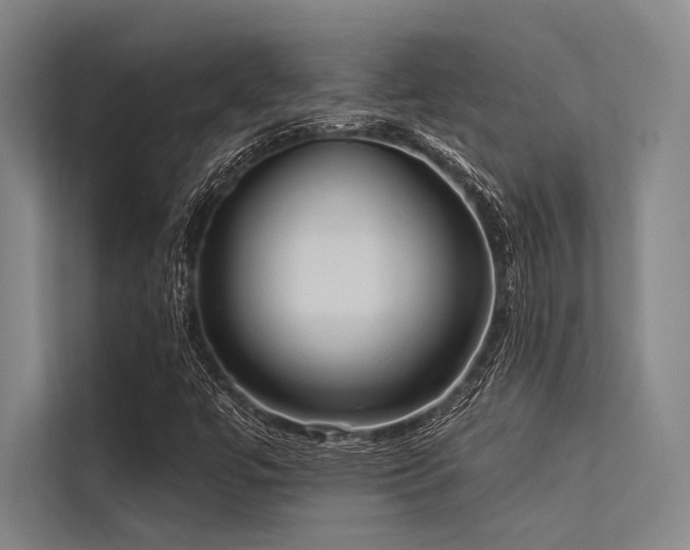 X0000113551447200909181149