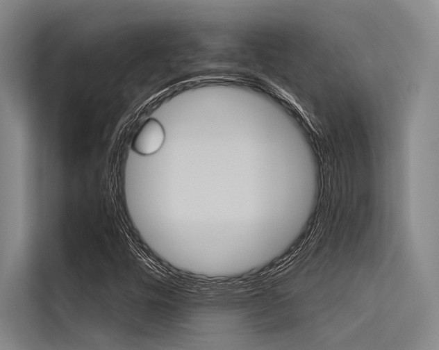 X0000113551448200909181149
