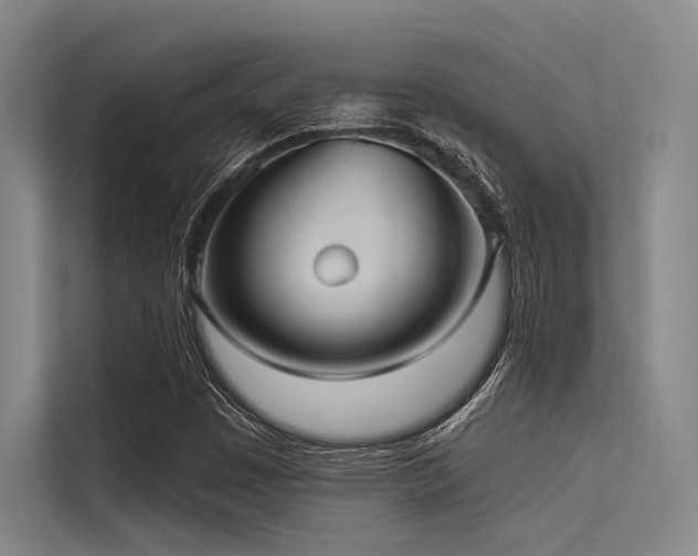 X0000113551449200909181149