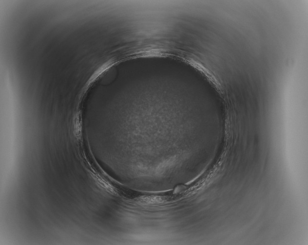 X0000113551450200909181149