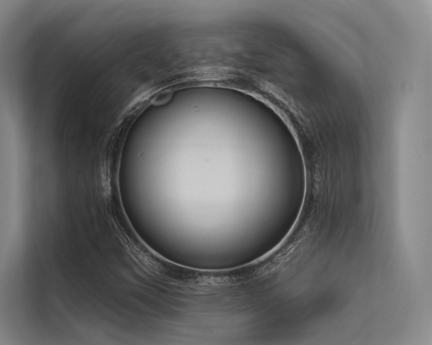 X0000113551451200909181149