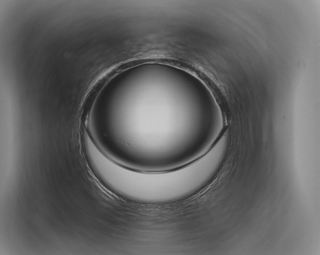 X0000113551452200909181149