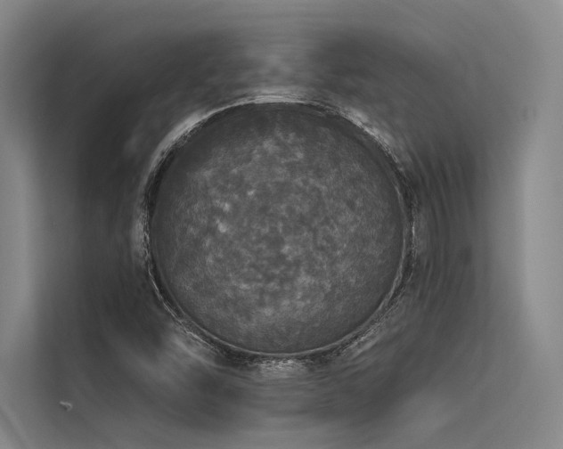 X0000113551454200909181149